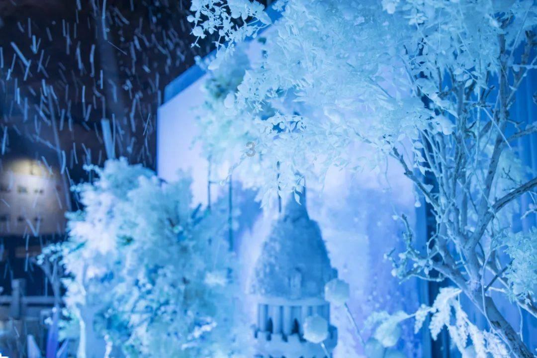 探索无限可能,尽在什么叫转子发动机,都什么车在用?蜗牛问答平台