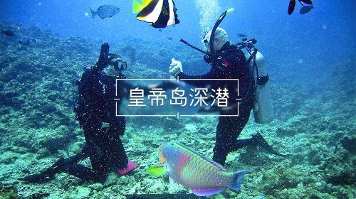 探索如何治愈童年阴影?,精彩知识星球等你来加入!
